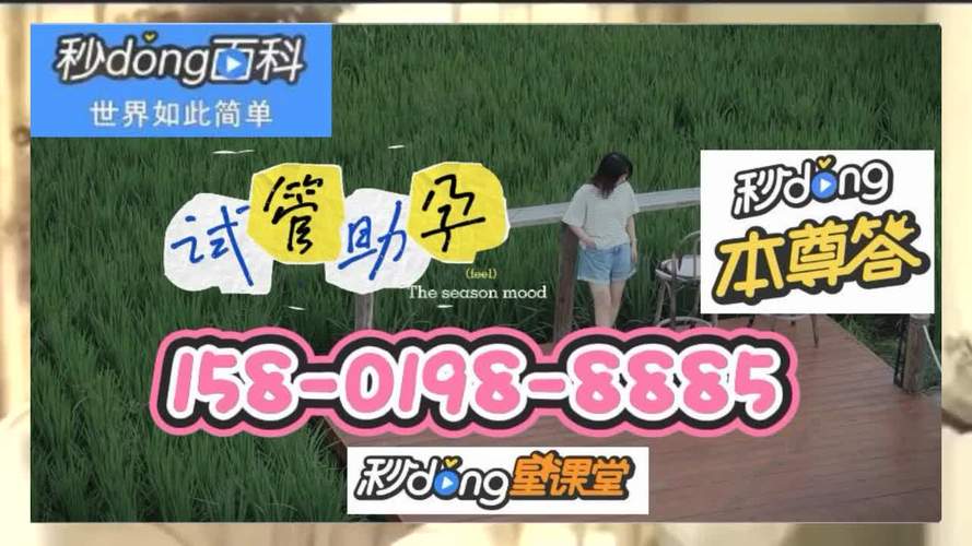 国内供卵试管代怀男孩全包(国内供卵试管代怀男孩全包服务)