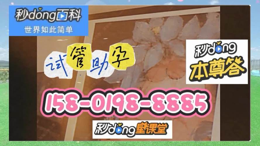 医院供卵试管代怀男孩全包(医院男孩全包试管代怀服务)