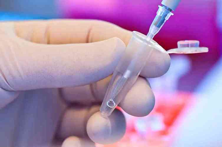 供卵试管代怀公司有哪些(供卵试管代怀公司服务项目介绍)