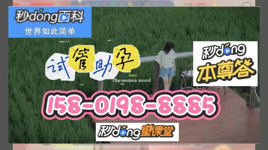 国内供卵试管代怀包男孩(国内供卵试管代怀包男孩的全面解读)
