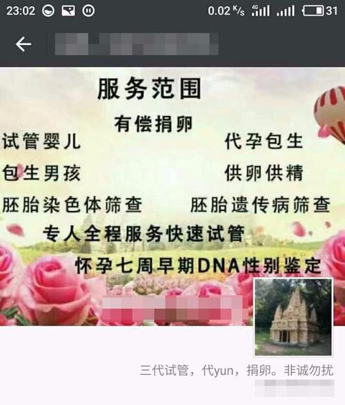 供卵试管代怀包性别-以性别为中心的供卵试管代怀包：选择你想要的宝宝性别