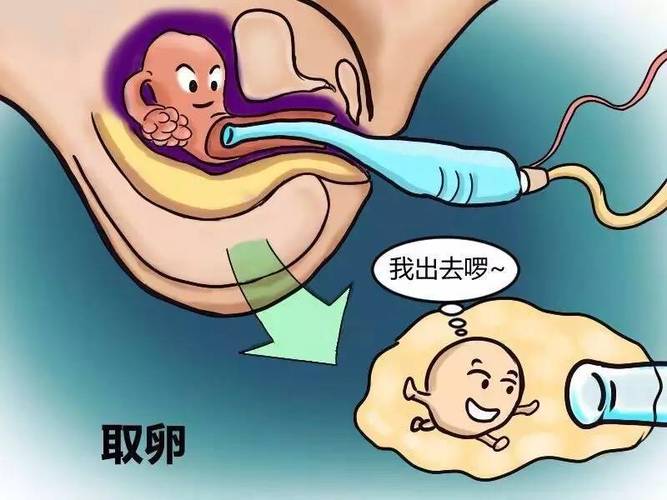 医院供卵试管代怀安全吗_医院供卵试管代怀安全吗?安全隐患大揭秘