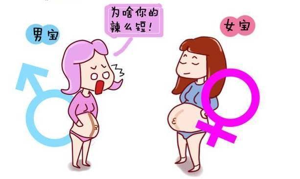 国内供卵试管代怀男孩过程-国内供卵试管代怀男孩全过程解析